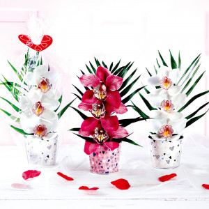 Produktbild »Luxus-Valentinsgesteck«