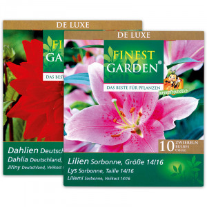 Produktbild »Exklusive Blumenzwiebeln 