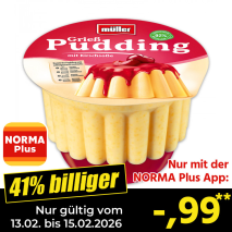 Pudding mit Soße