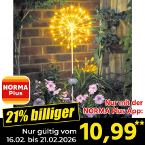 Nur mit der NORMA Plus App günstiger: »LED-Solar-Leuchte 'Pusteblume'«
