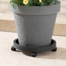 Produktbild »Pflanzenroller«