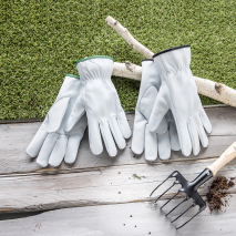 Produktbild »Ziegenlederhandschuhe«