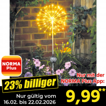 LED-Solar-Leuchte Pusteblume