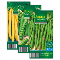 Hülsenfrüchte Vielfalt