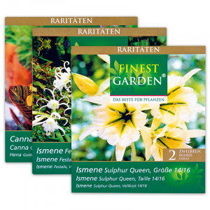 Produktbild »Raritäten Frühjahrsblumenzwiebeln«