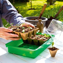 Quadratische Anzuchttöpfe