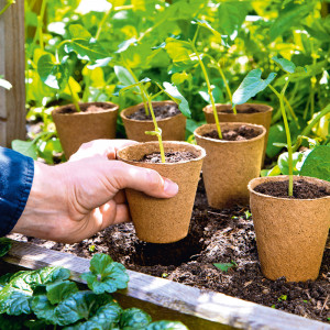 Produktbild »Runde Anzuchttöpfe«