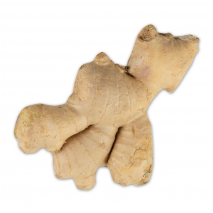 Produktbild »Bio-Ingwer lose«