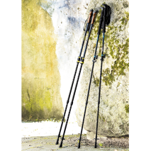 Teleskop-Wander- oder -Trekkingstöcke