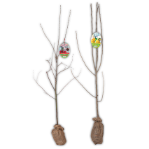 Obstbaum im Jutesack