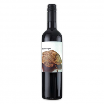 Produktbild »2023 Weingut Alfred Fischer Blauer Zweigelt«