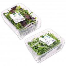 Produktbild »Bio-Salat sortiert«