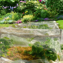 Anzuchtfolie Supergrow