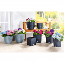 Produktbild »Blumentopf / Pflanzgefäß 'Florenz'«