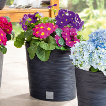 Blumentopf / Pflanzgefäß Florenz