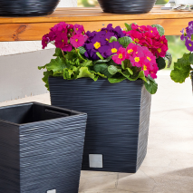 Produktbild »Blumentopf / Pflanzgefäß 'Florenz'«