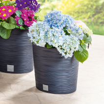 Produktbild »Blumentopf / Pflanzgefäß 'Florenz'«