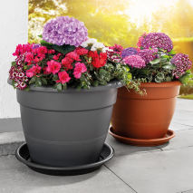 Produktbild »XXL-Pflanzgefäß 'Sydney'«