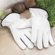 Produktbild »Ziegenleder-Gartenhandschuhe«