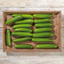 Bayerische Mini Gurken