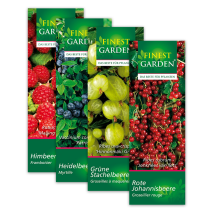 Produktbild »Beerensträucher«