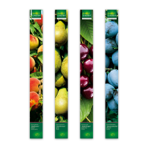 Produktbild »Obstbäume«