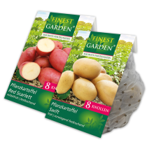 Produktbild »Pflanzkartoffel Raritäten«