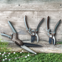 Gartenscheren Easy-Line