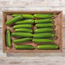 Fränkische Mini Gurken