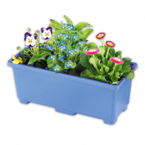 Produktbild »Bunter Balkonkasten Frühling«