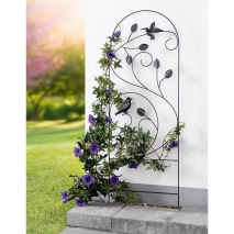 Produktbild »Rankhilfe«