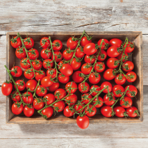 Bayerische Pflaumen-Cocktailtomaten