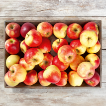 Äpfel aus Baden-Württemberg