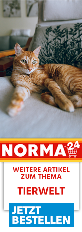 Sparen sparen sparen. Endlich ist sie da, die NormaPlus-App mit wöchentlich neuen und exklusiven Rabattcoupons. Herunterladen und Sparen