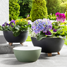Pflanzschale Riva