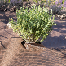 XL-Waben-Unkrautvlies