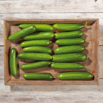 Bayerische Mini Gurken