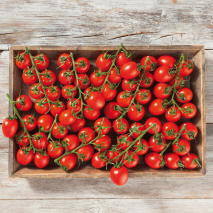 Bayerische Pflaumen-Cocktailtomaten