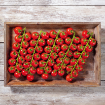 Rheinländer Cocktailrispentomaten