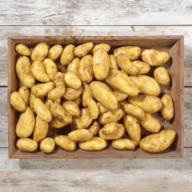 Pfälzer Speisekartoffeln