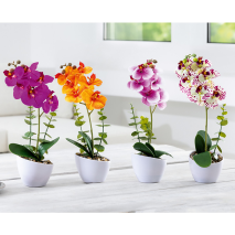 Deko-Orchidee