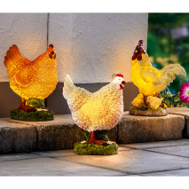 LED-Solar-Huhn