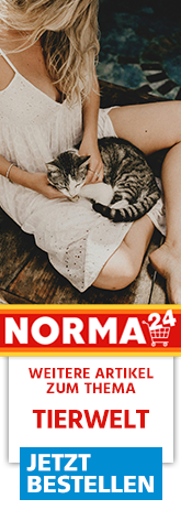 Weitere Artikel zum Thema - Jetzt Bestellen auf Norma24.de