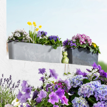 Geländer-Hängetopf 2in1