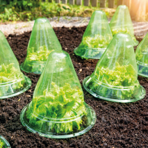 Produktbild »Pflanzhut 10er-Set«