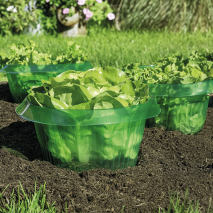 Produktbild »Schneckenschutzringe 6er-Set«