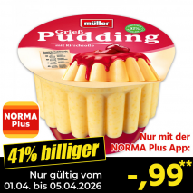 Pudding mit Soße