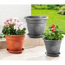 Blumentopf-Set Sydney