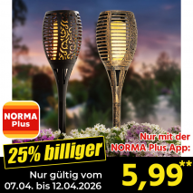 Nur mit der NORMA Plus App günstiger: »LED-Solar-Fackel 3in1«