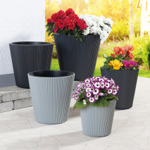 Produktbild »Pflanztopf 'Floria'«